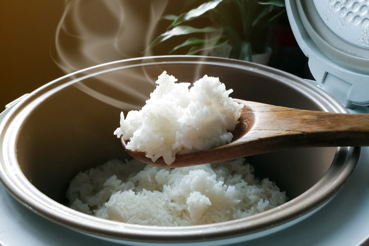 Acheter un Rice Cooker pas cher